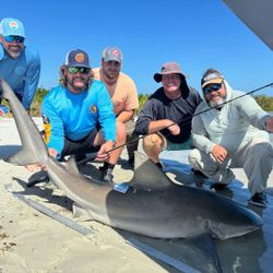 Blacktip shark caught during fishing cruises in New Smyrna Beach