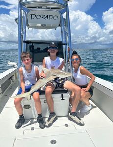 Bonnethead shark, 36-inch fish caught on cruises and fishing trip in New Smyrna Beach