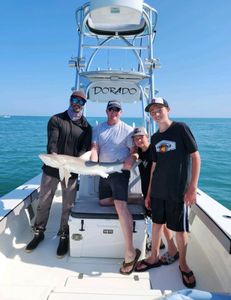 Majestic bull shark caught in FL
