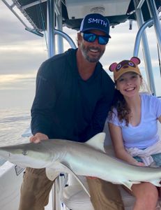 A big bull shark caught by anglers in Florida