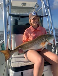 Angler with 31-inch fish in FL