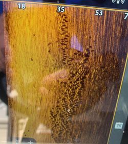 Scenic coastal landscape with boats in FL