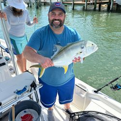 Crevalle Jack fish caught in New Smyrna Beach, Florida
