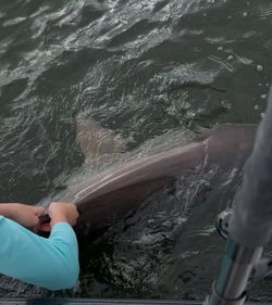 Stunning cruises and fishing scenery in FL