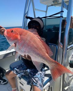 Fishing cruises and angling adventures in FL