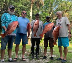 Five people fishing in the waters of FL.