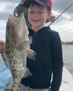 Gag grouper fishing in New Smyrna Beach