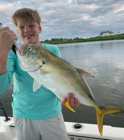 A single Greater Amberjack fish caught while fishing in New Smyrna Beach