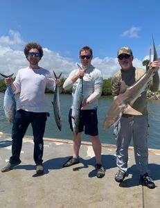 4 Bull Shark, Little Tunny, and King Mackerel fish caught in FL
