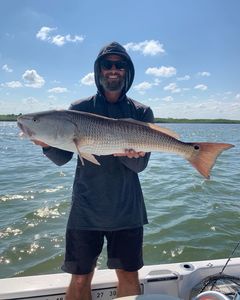 A lone redfish, 34 inches in size, caught in the waters of FL.