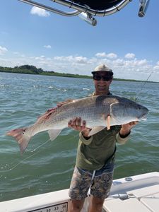 A lone redfish, measuring 42 inches, caught in FL