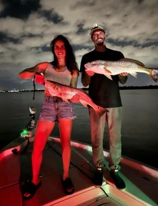 Two redfish, 26 inches long, caught in FL