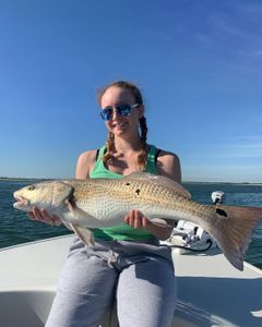 Redfish caught in FL, 29 inches long