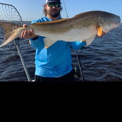 Redfish caught in FL