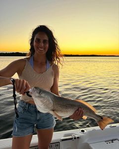 A redfish, measuring 23 inches, caught in FL