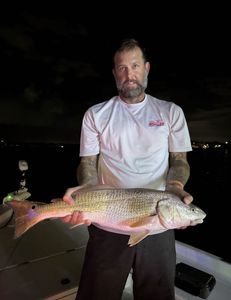 Redfish measuring 28 inches caught in FL