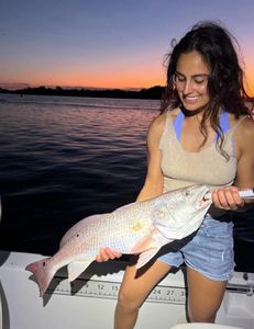 Redfish catch in Florida while cruising and fishing