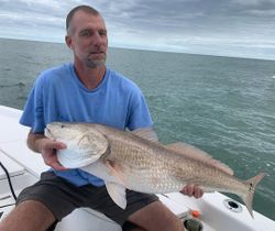 Redfish caught in New Smyrna Beach, Florida