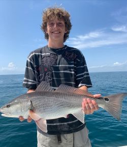 A lone redfish, 29 inches long, caught while fishing at New Smyrna Beach