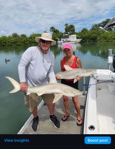 2 sandbar sharks, fishing in FL