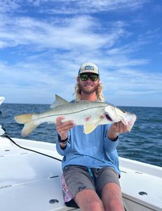 Snook fish caught in New Smyrna Beach
