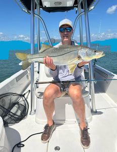 Snook fish caught by angler in New Smyrna Beach