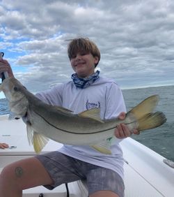 A snook fish being caught while fishing in FL