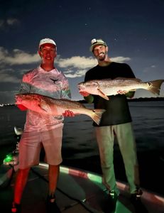 Two redfish, 28 inches long, caught in FL