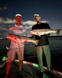 Two redfish caught during a fishing cruise in Florida