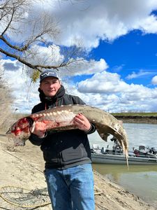 Awesome catch for today!