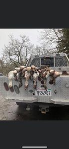 perfect hunt for today!