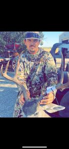 California Hunting