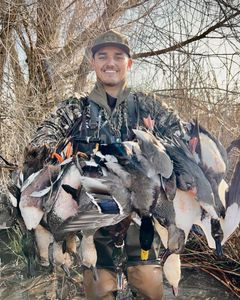 California Hunting: Waterfowl Action!