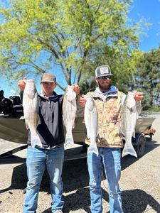 Sacramento River: Bass fishing