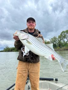 Great catch!