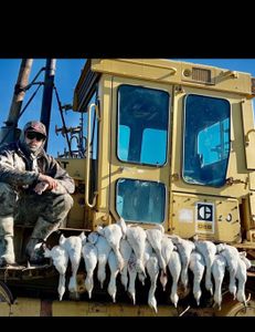 Loaded snow goose hunt!