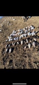Duck Hunting & Fishing: California's Best!