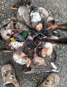 Couple enjoying fishing in CA