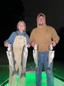 Four striped bass caught in CA while fishing and hunting