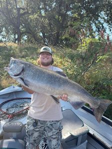 Chinook Salmon caught in Arbuckle