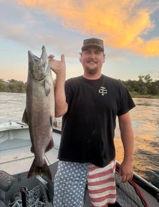 Chinook salmon caught fishing in CA