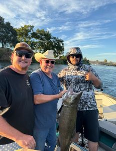 Chinook Salmon caught during fishing in CA