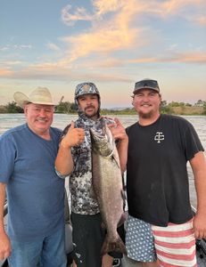 Chinook Salmon caught while fishing in CA