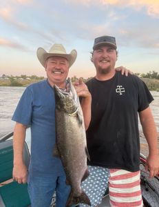 Coho salmon caught while fishing in Arbuckle