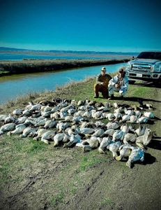 Epic snow goose pile!