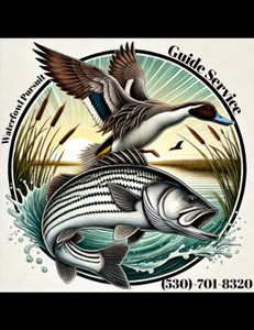 Dynamic logo design!