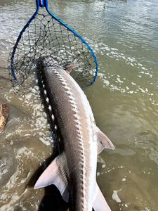 Fishing in California