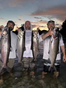 4 rainbow trout and coho salmon caught in Arbuckle