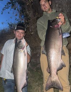 Two Lake Trout fish being caught while fishing in CA