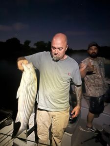 3 anglers fishing in California